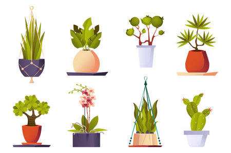 Green house plants set icons concept without people scene in the flat cartoon design. Image of various green plants that can decorate the house. Vector illustration.のイラスト素材