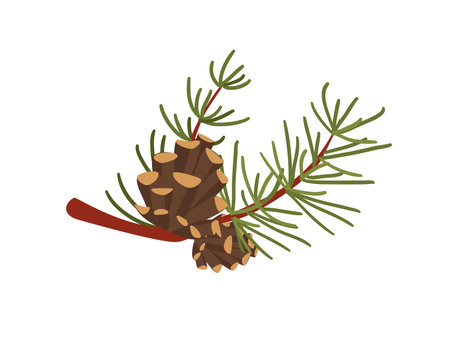 Concept Hello autumn pine tree cone branch. This illustration is a flat vector design with a cartoon concept of an autumn forest. Vector illustration.のイラスト素材
