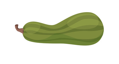 Concept Hello autumn with pumpkin. This pumpkin illustration utilizes a modern, minimalist design with a flat art style. Vector illustration.のイラスト素材