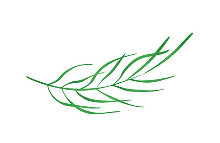 Concept Jungle botany plant branch leaf. A cartoon-style jungle plant, complete with a single green branch and leaf, is the focus of this fun and engaging illustration. Vector illustration.のイラスト素材