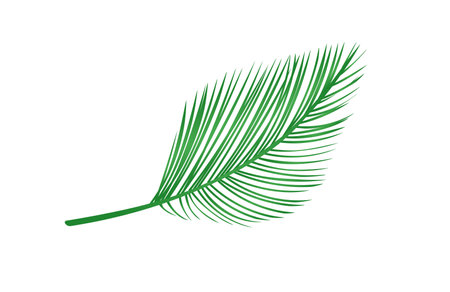 Concept Jungle botany plant branch leaf. This illustration showcases the beauty of a single green branch from a jungle plant. Vector illustration.のイラスト素材