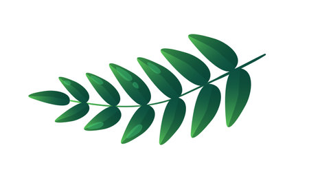 Concept Jungle botany plant branch leaf. A cartoon-style image of a jungle plant, with a single green branch and leaves, is portrayed in this design. Vector illustration.のイラスト素材