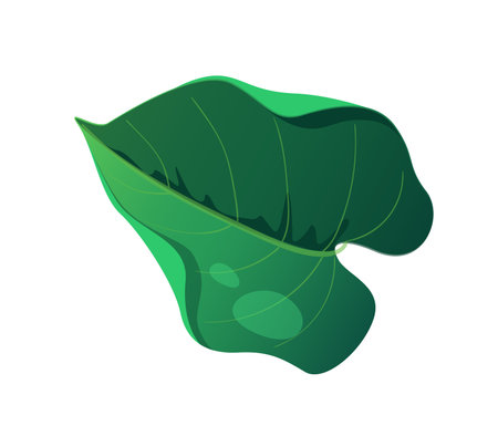 Concept Jungle botany plant branch leaf. This simple and elegant illustration showcases the beauty of a green leaf from a jungle plant. Vector illustration.のイラスト素材