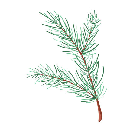 Concept Winter Christmas botany branch leaf plant. This flat vector design features a winter Christmas branch, complete with pine needles, berries, and snowflakes. Vector illustration.のイラスト素材