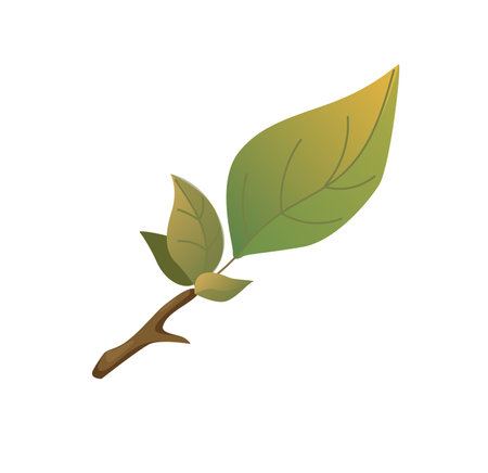 Concept Autumn forest branch plant leaf. This cartoon-style autumn leaf illustration is characterized by a flat design with bright and bold colors. Vector illustration.のイラスト素材