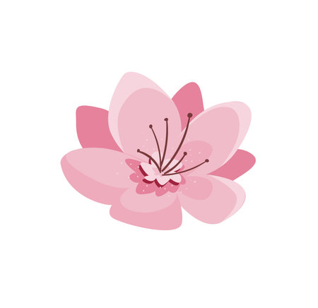 Concept Cherry blossom flowers. The concept behind this illustration of a cherry blossom flower is one of delicate beauty and fleeting grace. Vector illustration.のイラスト素材