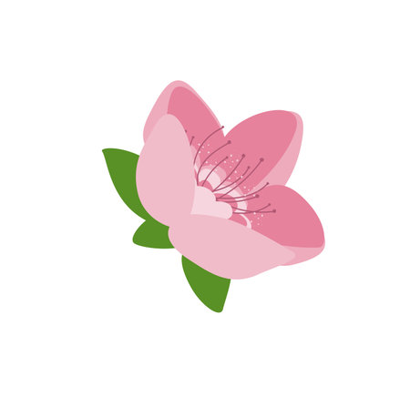 Concept Cherry blossom flowers. The use of negative space in this illustration of a cherry blossom flower creates a striking contrast between the delicacy of the flower. Vector illustration.のイラスト素材