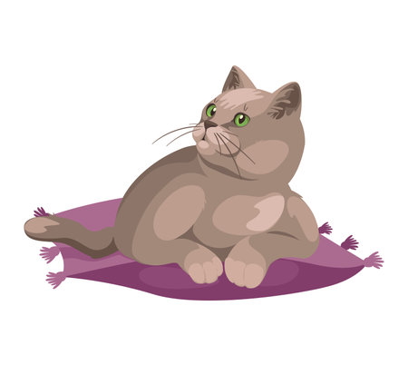 Concept Pet zoo cat. The illustration features a cute and fluffy cat in a flat, vector, cartoon style design. Vector illustration.のイラスト素材