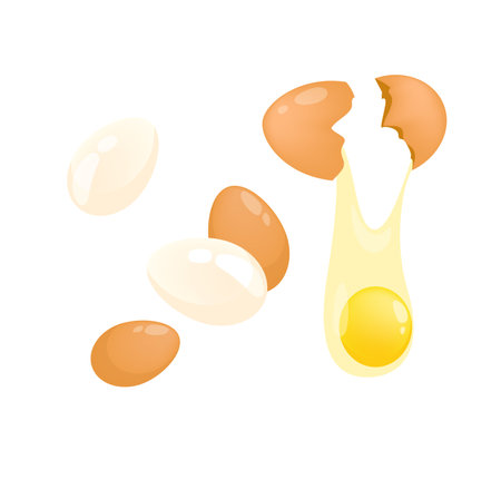 Concept Cooking eggs. The illustration features a set of eggs on a white background designed in a flat, vector style with a cartoon concept. Vector illustration.のイラスト素材