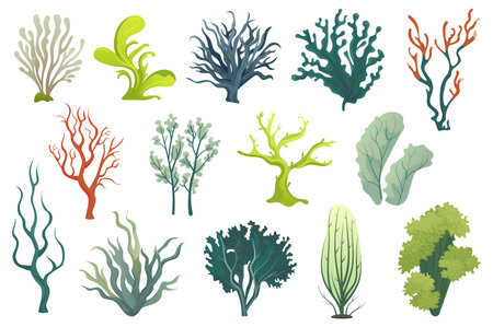Algae set. This illustration set features flat, cartoon-style designs of various types of algae. Vector illustration.のイラスト素材