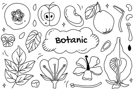 Line set Botanic in cartoon design. The world of botanic art with a black and white illustration set, showcasing delicate lines that highlight intricate floral details. Vector illustration.のイラスト素材