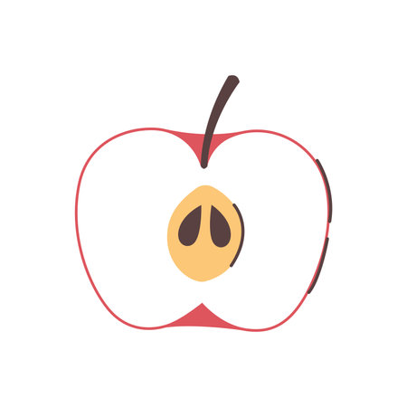 Element of morning routine set. The delightful morning routine atmosphere in this colorful illustration feature a crisp apple, creating a refreshing start to day. Vector illustration.のイラスト素材