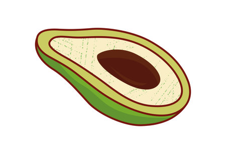 Breakfast element of set in cartoon style. This tantalizing avocado, perfectly capturing the essence of a nutritious morning meal. Vector illustration.のイラスト素材