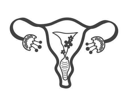 Element of menstruation themed set. A schematic representation of the uterus in the style of black outlines emphasizes the importance of caring for womens health. Vector illustration.のイラスト素材