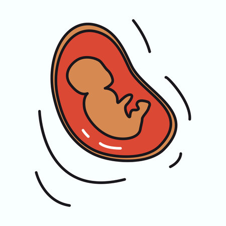 Pregnancy element of colorful set. This artwork adorned with a burst of an outlined depiction of embryo represent the role of medication and healthcare in a pregnant period. Vector illustration.のイラスト素材