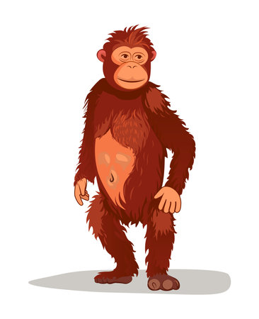 Monkey of colorful set. Showcasing of the zany world of a cartoon monkeys escapades. This illustration is a playful showcase of the monkeys mischievous antics. Vector illustration.のイラスト素材
