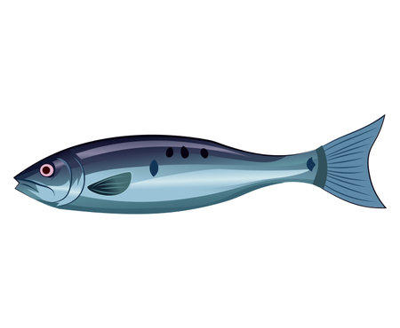 Fish of colorful set. This captivating illustration of colorful and whimsical fish beautifully designed in a cartoon style against a white canvas. Vector illustration.のイラスト素材