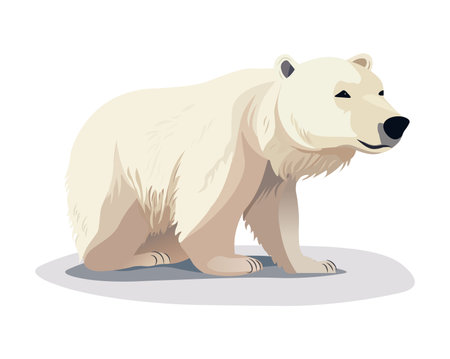 Bear of colorful set. In this creative illustration a polar bear comes to life in a cute cartoon design set against a pristine white backdrop. Vector illustration.のイラスト素材