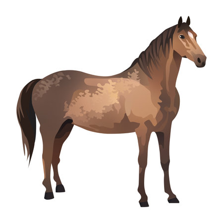 Horse of colorful set. This charming cartoon design illustration showcase a horse against a pristine white background. Vector illustration.のイラスト素材