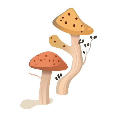 Mushroom element of colorful set. In this creative design, a mushroom becomes the star of the show, beautifully showcased in a cartoon-inspired background. Vector illustration.のイラスト素材