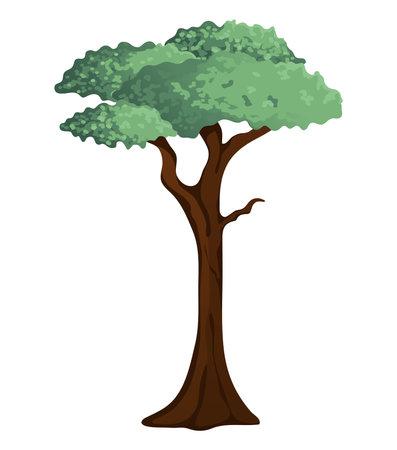 Image of a jungle tree. This design features a beautiful evergreen tree in a cartoon style with multi-colored hues on a white background. Vector illustration.のイラスト素材
