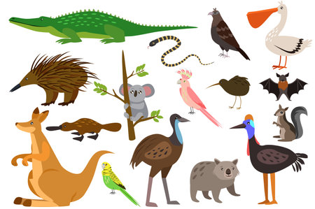 Set of Australian animals in flat cartoon design. Colorful images of various Australian animals such as kangaroos, koala crocodiles and various birds, showcasing the unique fauna. Vector illustration.のイラスト素材