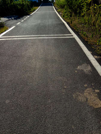 the alone nobody  single  path way