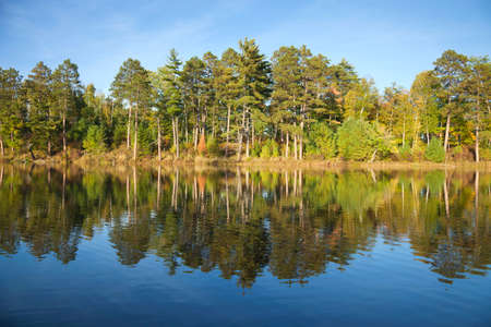 Typical northern Minnesota lake with pines and birch on a sunny late September afternoonの写真素材
