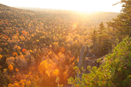 Backlit cliff and pines with lens flare above aspen trees in fall color on Oberg Mountain in northern Minnesotaの写真素材