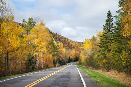 A road near the North Shore of Minnesota with trees in fall colorsの写真素材