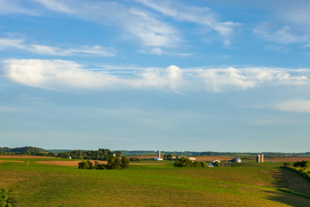 Farms and fields of young corn in northeast Iowa at sunset during springの写真素材