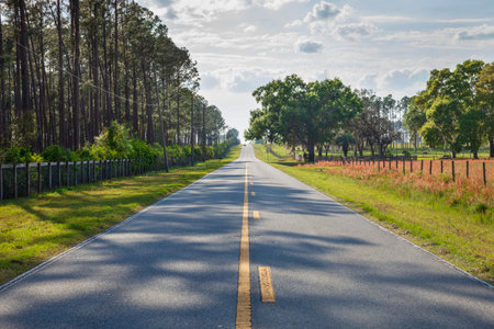 Low angle view of two lane asphalt highway in rural central Florida on a sunny afternoonの写真素材