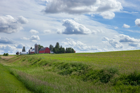 Farm with red barns silo and freshly planted corn fields on a partly cloudy day in Iowaの写真素材