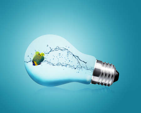 Anglefish jumping into light bulb, Good Concept for new Idea.の写真素材