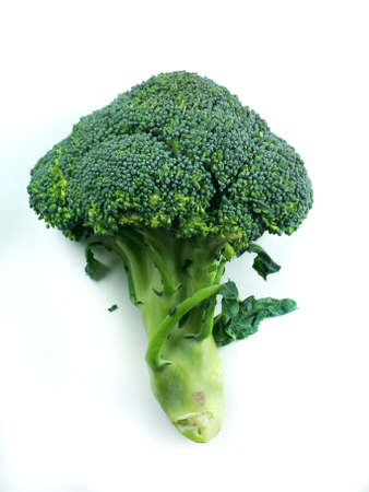 branches of cabbage of a broccoli on a white background の写真素材