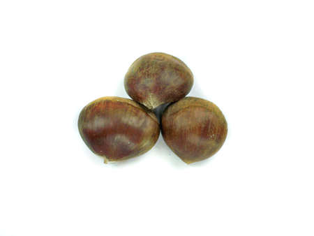 fresh chestnuts on a white background の写真素材