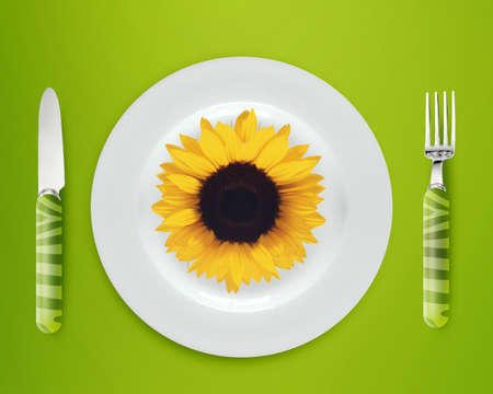 sunflower on white plate with knife and fork on blue background.の写真素材