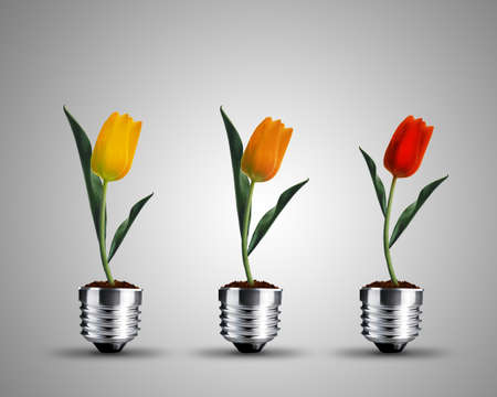 light bulb made from tulips , light bulb conceptual Image.