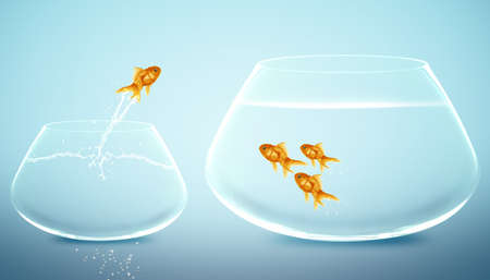 goldfish jumping into bigger fishbowl.の写真素材