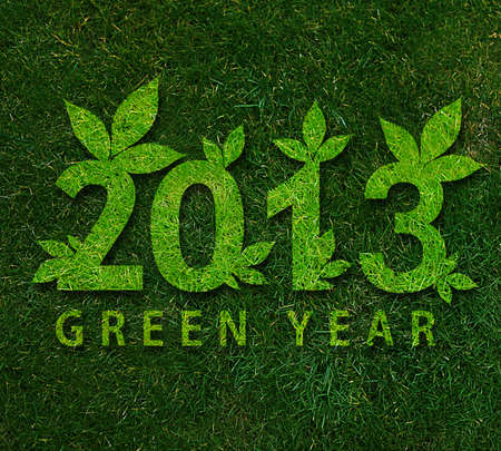 Happy new year 2013, ecology conceptual image for 2013 year.の写真素材