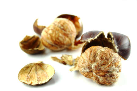 Sweet chestnuts with peels on white background.の写真素材
