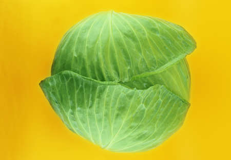 Fresh green cabbage on orange background .の写真素材