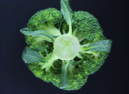 Fresh broccoli in closeupの写真素材