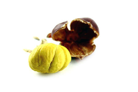 Sweet chestnuts on white background.の写真素材