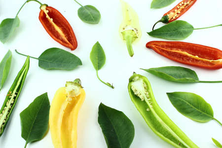 Colorful hot chili pepper on a white background の写真素材