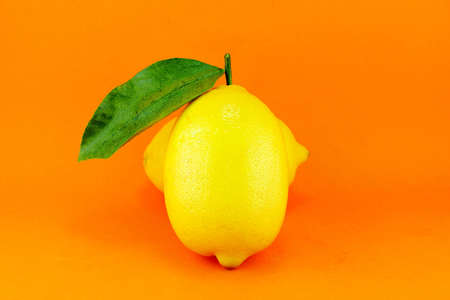 yellow ripe lemon with leaf over the orange background の写真素材