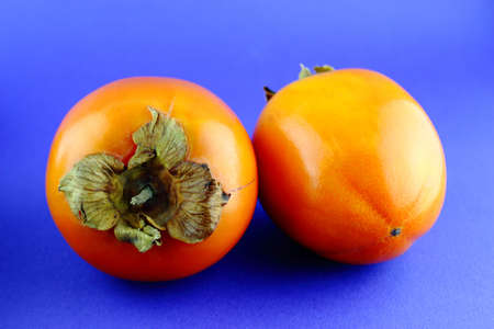 persimmon fruit isolated on blue background.の写真素材