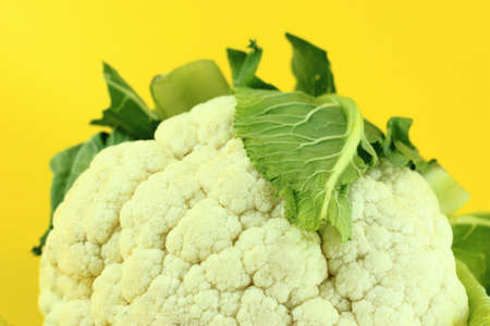 Fresh cauliflower isolated on yellow background . の写真素材