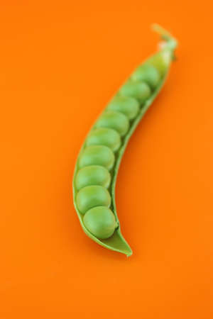 fresh pea fruit on orange background .の写真素材