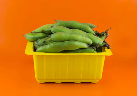 broad bean pods and beans on orange background . の写真素材
